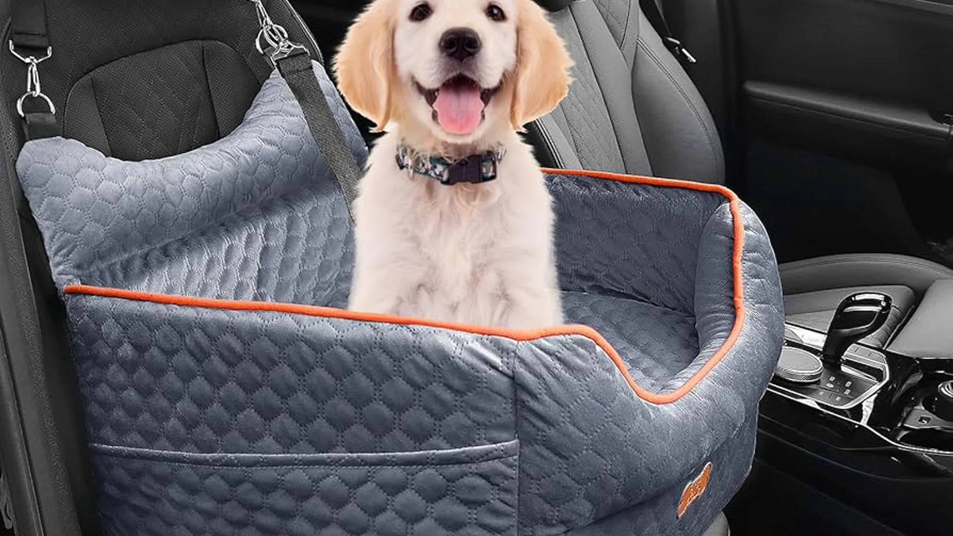 Dog booster seat installed in the back seat of a car